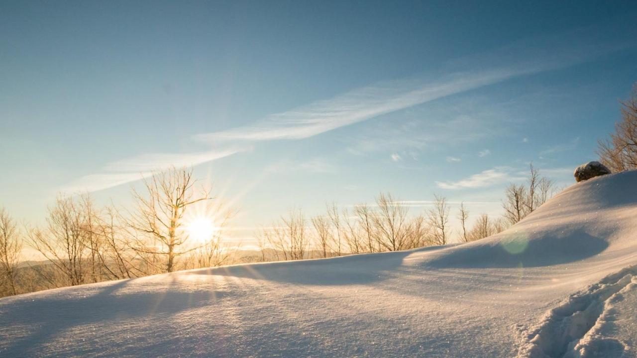 Chalets Du Domaine - De Luxe Notre-Dame-Des-Bois Exteriér fotografie